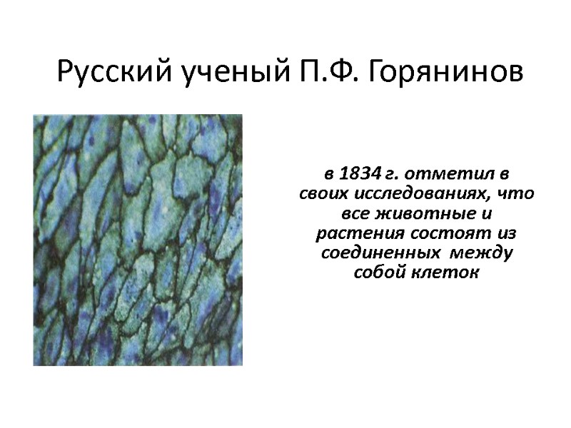 Русский ученый П.Ф. Горянинов  в 1834 г. отметил в своих исследованиях, что все